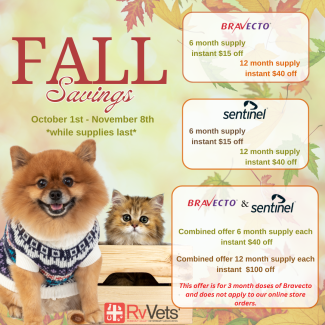 Fall Savings Bravecto and Sentinel Rondout Valley Vets