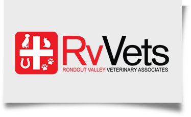 Rondout Valley Veterinary Associates